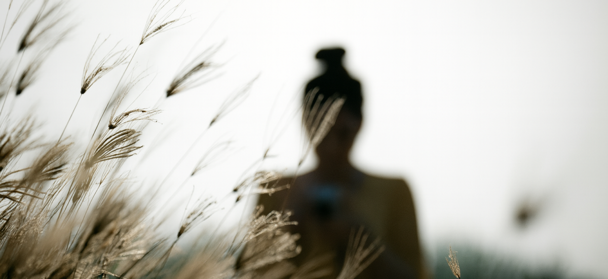 gräser im vordergrund und silhouette